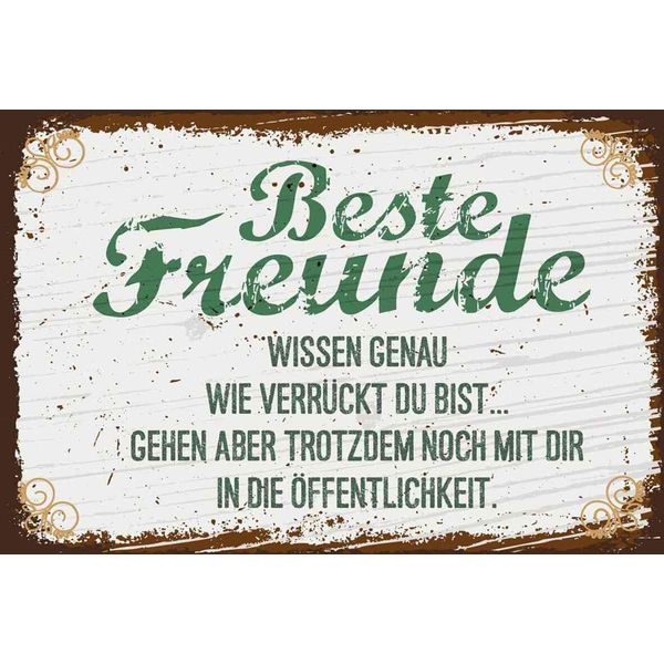 Vianmo Insegna In Legno 20X30 Cm Beste Freunde VerrüCkt Wissen Genau-image