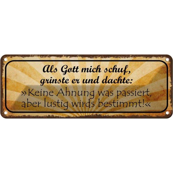 Vianmo Insegna Di Latta 10X27 Cm Als Gott Mich Schuf Grinste Er-image