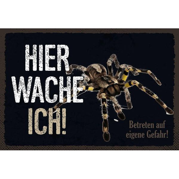 Vianmo Insegna In Legno 12X18 Cm Spinne Hier Wache Ich Eigene Gefahr-image