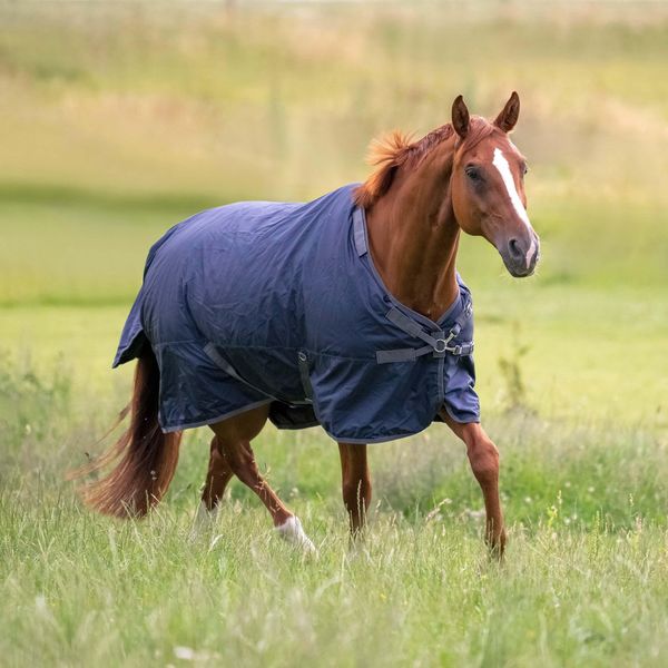 Busse Tappeto Da Esterno 50G Flessibile Pro Rain Rug Navy (Grigio) 135-image