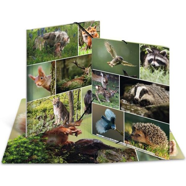 Herma 19451 Cartella Angolare Herma "Animali Della Foresta"", Cartone, Din A3"-image