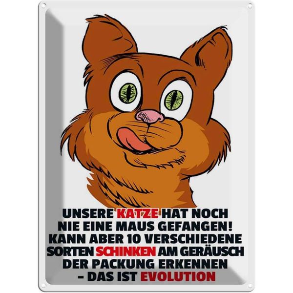 Vianmo Insegna Di Latta 40X30 Cm Katze Hat Noch Nie Maus Gefangen-image