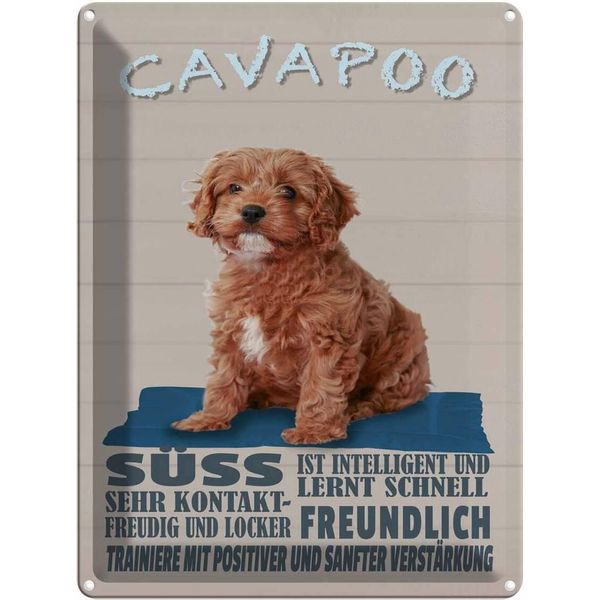 Vianmo Insegna Di Latta 40X30 Cm Cavapoo Hund SüSs Freundlich-image