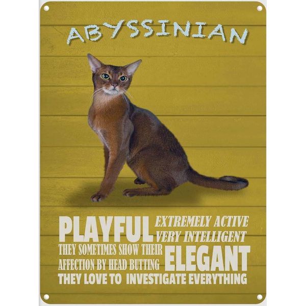 Vianmo Insegna Di Latta 40X30 Cm Abyssinian Katze Playful Elegant-image