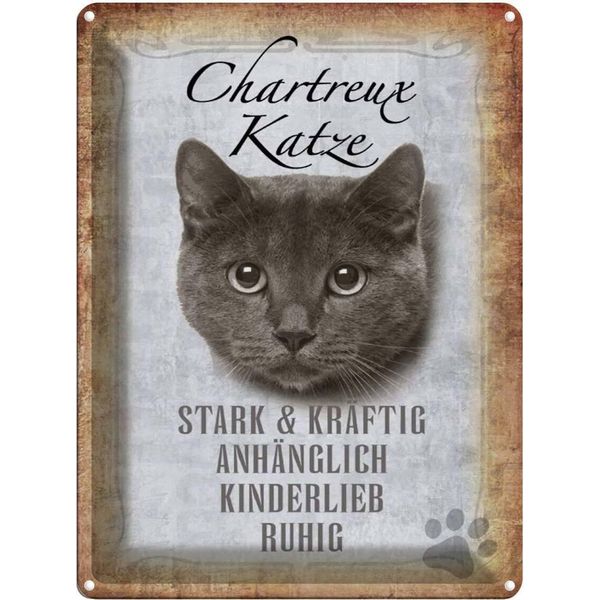 Vianmo Insegna Di Latta 40X30 Cm Chartreux Katze Stark-image
