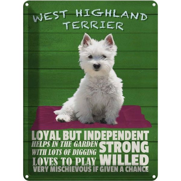 Vianmo Insegna Di Latta 40X30 Cm West Highland Terrier Hund Loyal-image