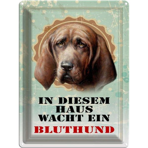 Vianmo Insegna Di Latta 40X30 Cm Hund In Diesem Haus Wacht Bluthund-image
