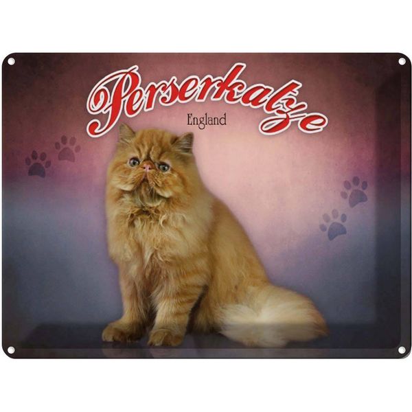 Vianmo Insegna Di Latta 30X40 Cm Katze Perserkatze England-image