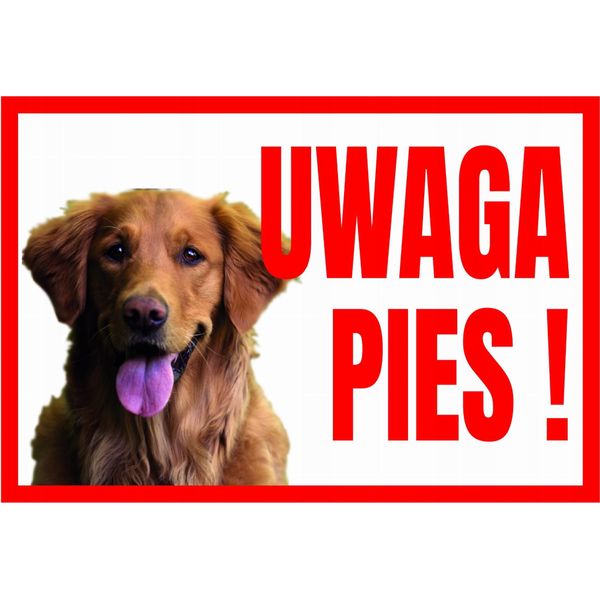 Attenzione Cane Retriever 250X175 Targhetta In Pvc Con Cartello Informativo Di Avvertimento-image