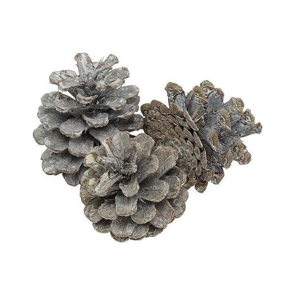 Pigne Bianche Decorative Nere 5-9Cm 1Kg Decorazione Naturale-image