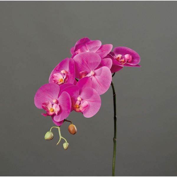 Orchidea Artificiale Phalaenopsis Fuchsia Real-Touch 78 Cm-image
