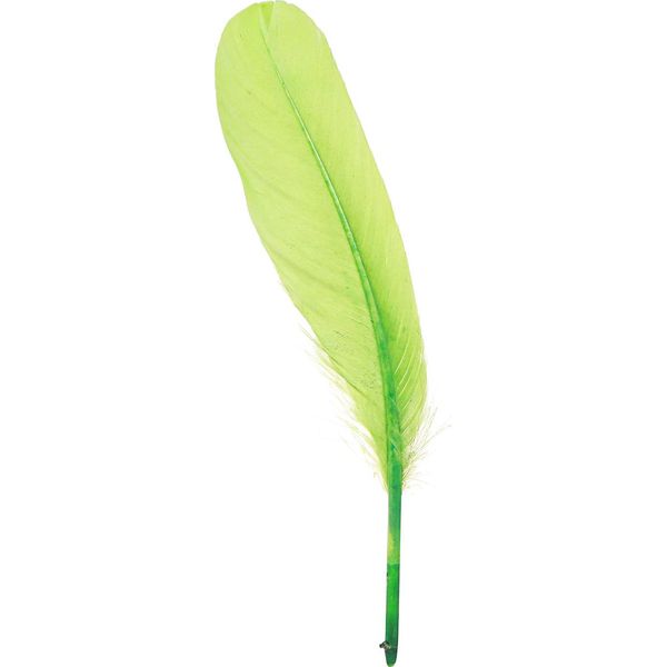 Piume D'oca Decorative Verde Chiaro Artigianali 20G - 2 Pezzi-image