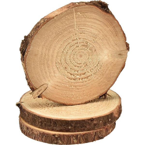 Dischi Di Legno Rustici Per Decorazioni Creative E Idee Artigianali, 9 Pezzi-image