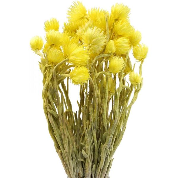 Giallo Fiori Secchi Cappello Fiori Di Paglia 42Cm Decorazione-image