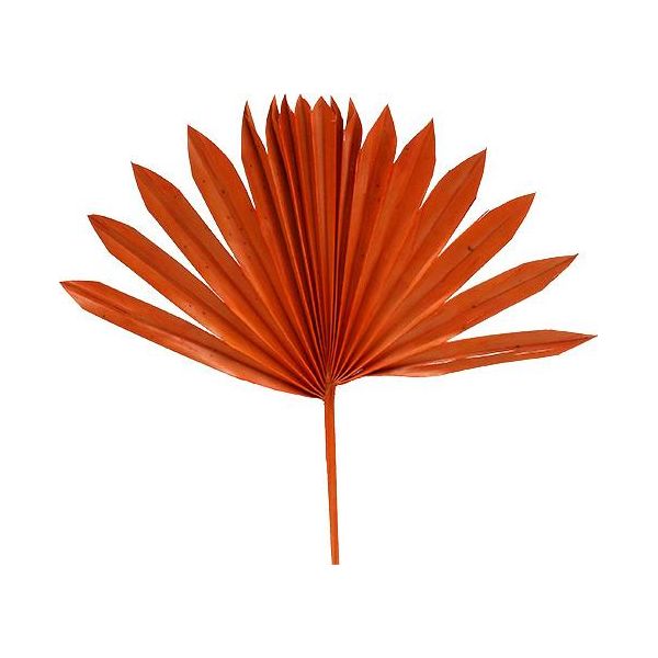 Palmspear Sun Orange 30 Pz - Elegante Decorazione A Lutto Testa Di Palma A Foglia Di Sole, Decorazione Artificiale Realistica-image
