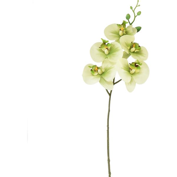 Orchidea Artificiale Giallo Verde 85Cm Tocco Reale Decorazione Phalaenopsis-image