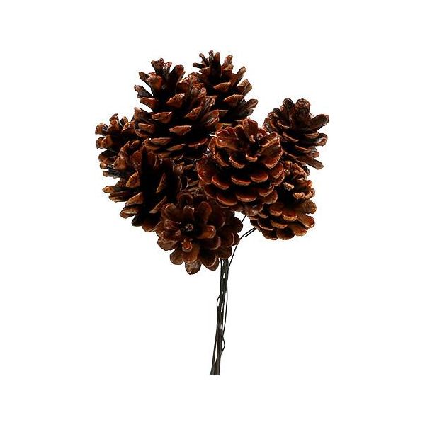 Pigne Nere Cerate Cablate 200Pz Per Ghirlanda D'avvento Decorativa Fai Da Te Natale-image