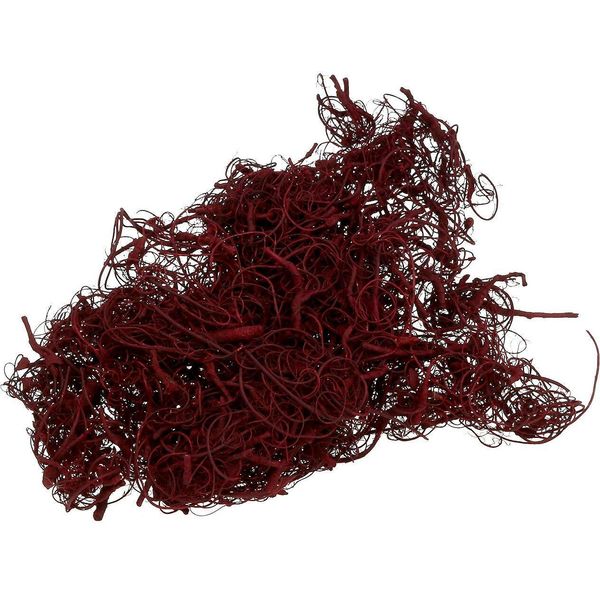 Fibra Di Tamarindo Per La Decorazione Creativa E La Fioritura-image