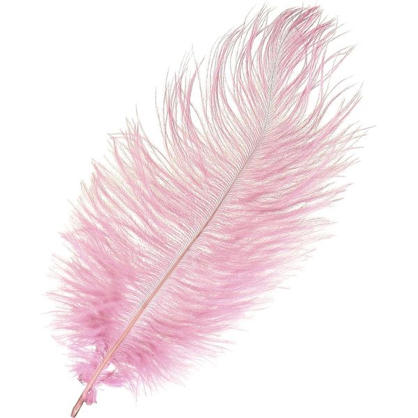 Piume Di Struzzo Rosa Decorazione 20-25Cm 12 Pezzi Piume Reali Matrimonio Artigianato-image