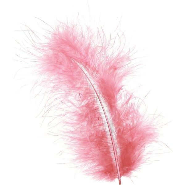 Piume Di Uccello Rosa 20G: Primavera, Pasqua, Artigianato, Decorazione-image