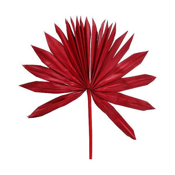 Palmspear Sun Rosso 30 Pezzi - Decorazione Esotica Con Foglie Di Palma Rosse, Decorazione Da Parete, Composizione Floreale Secca, 30 Pezzi-image