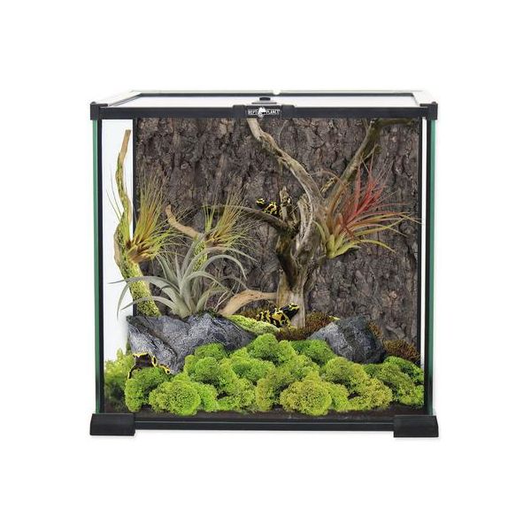 Terrario In Vetro 30 X 30 X 30 Cm 1 Pz-image