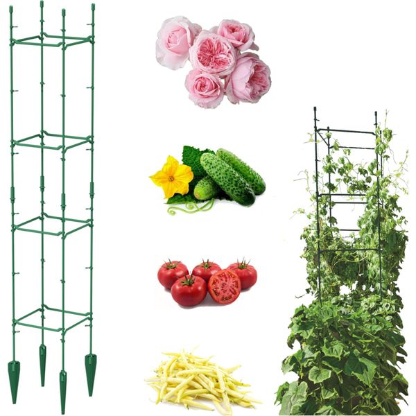 Supporto Da Giardino Per Piante Rampicanti Telaio Ad Asta Per Pomodori Cetrioli H 120Cm-image