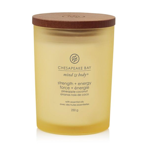 Candela Profumata Chesapeake Bay Candela Forza Ed Energia 250G-image