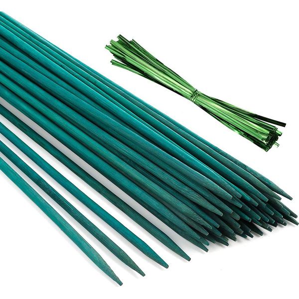 Ferrarium Bastoncino Di Bambù Verde Colorato 50 Pezzi - 50 Cm Ø 5,5 Mm-image