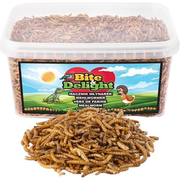 Bite & Delight Premium Polpette Essiccate 900G - Mangime Per Uccelli Selvatici Ad Alto Contenuto Proteico, Cibo Per Tutto L'anno, Cibo Per Ricci - 5000 Ml-image