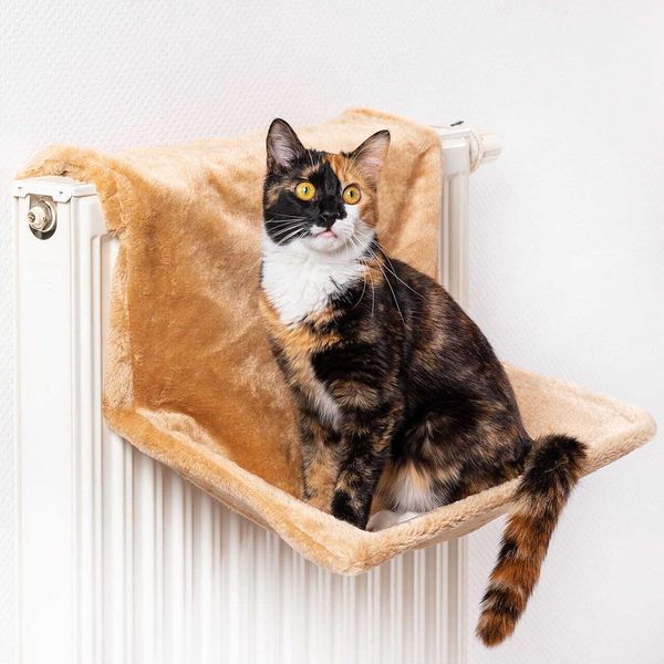Tana Del Radiatore Del Gatto Canadese | 45 X 26 X 31 Cm | Beige-image