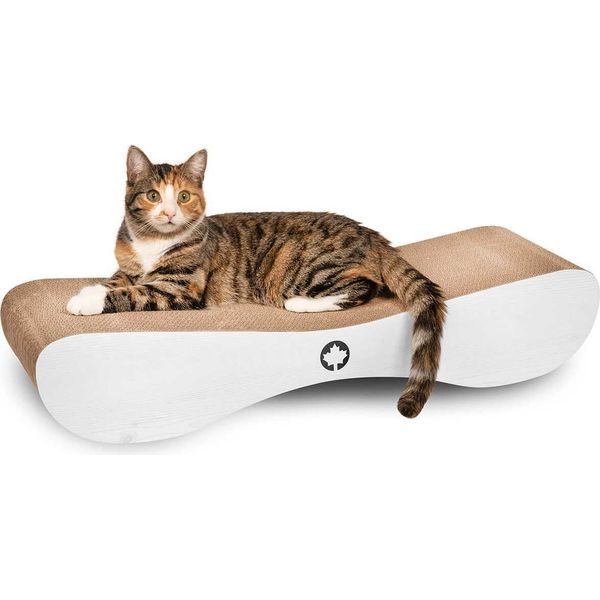 Satellite 2.0 -| Tiragraffi Per Gatti | Gatto Canadese | Bianco-image