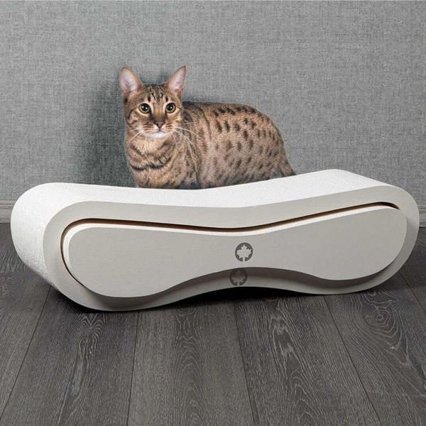 Orbit + Satellite | Set Tiragraffi Per Gatti | Canadian Cat| White Edition | Bianco-image