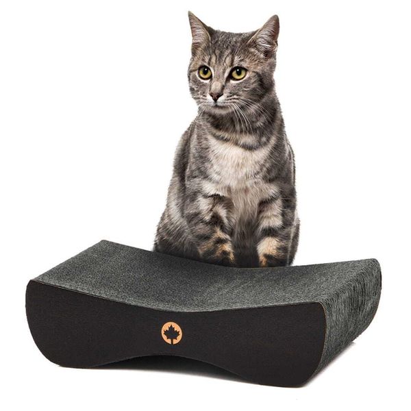 Satellite 2.0. Small | Tiragraffi Per Gatti | Gatto Canadese | Edizione Nera | Nero-image