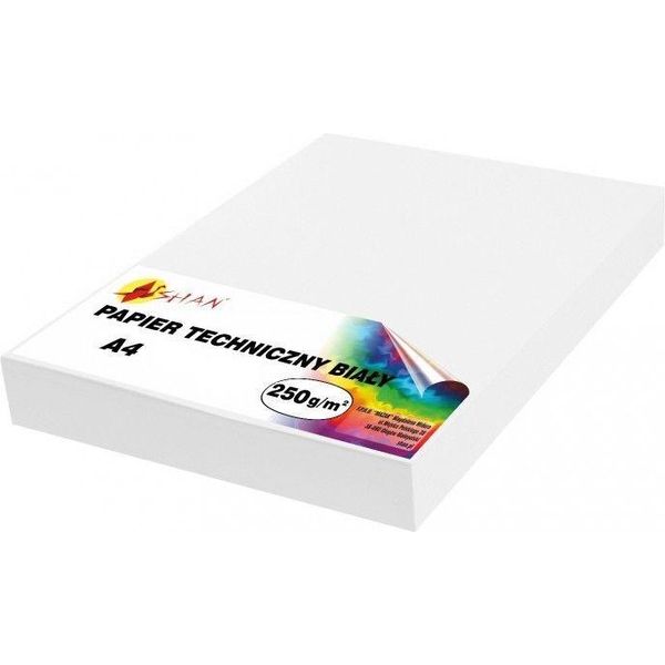 Carta Tecnica A4 Bianca 250G 100 Fogli-image