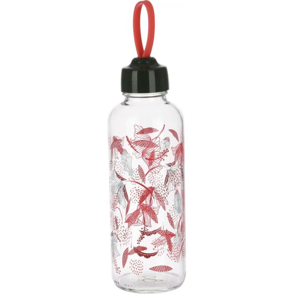Borraccia Excellent Houseware, Vetro, 6,5X21 Cm, 450 Ml, Rosso-image