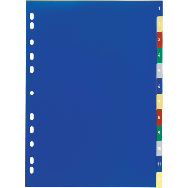 Durable Divisorio A4 In Pp 12 Tasti 1-12 Con Cavalierini Colorati Prestampati E Indice , Colorato, 675027-image