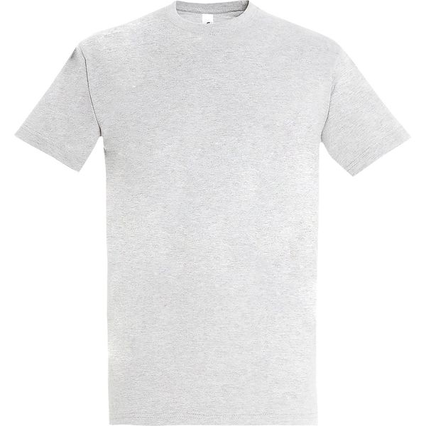 T-Shirt Sols Imperial Da Uomo, Manica Corta PC290 (M) (Grigio Cenere)-image