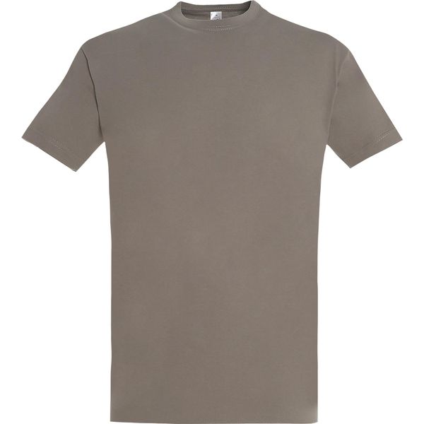 T-Shirt Sols Imperial Da Uomo, Manica Corta PC290 (2XL) (Grigio Chiaro)-image