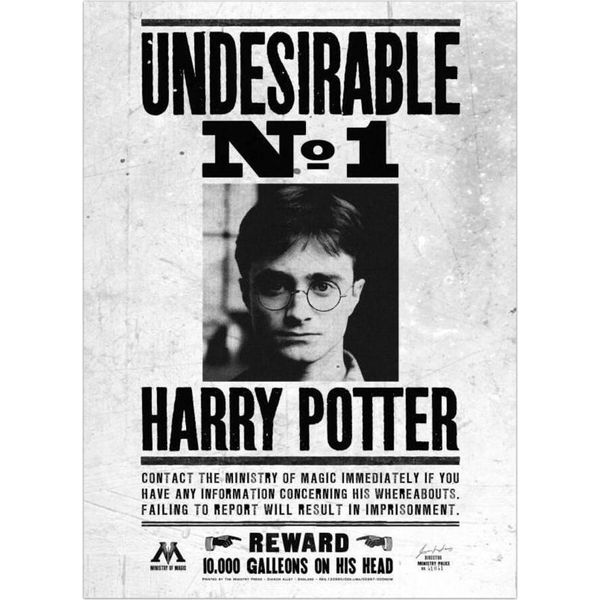 Harry Potter - Stampa Su Tela Con Cornice "Indesiderabile N. 1"" PM3556 (80 Cm X 60 Cm) (Nero/Bianco)"-image