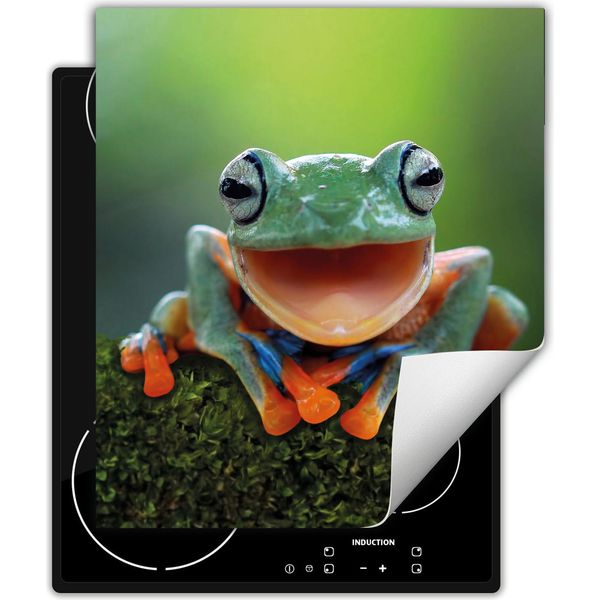 Darhaus Piastra Di Copertura Per Fornelli 45X52 Cm Tappetino Antiscivolo Roll-Up, Verde - Frog-image