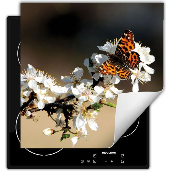 Darhaus Piastra Di Copertura Per Stufa 60X52 Cm Tappetino Antiscivolo Roll-Up, Farfalla - Fiore-image