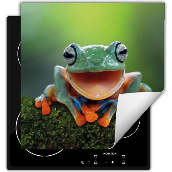 Darhaus Piastra Di Copertura Per Fornelli 50X52 Cm Tappetino Antiscivolo Roll-Up, Verde - Frog-image