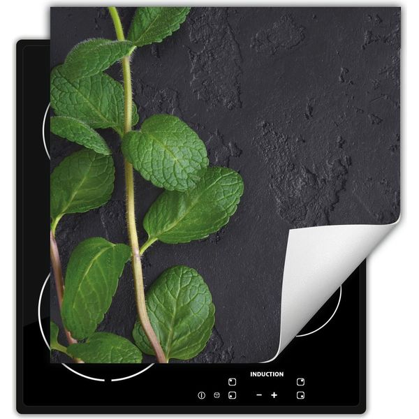 Darhaus Piastra Di Copertura Per Stufa 50X52 Cm Tappetino Antiscivolo Roll-Up, Menta-image