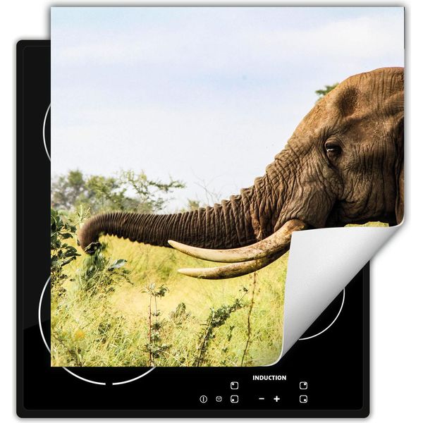 Darhaus Piastra Di Copertura Per Fornelli 50X52 Cm Tappetino Antiscivolo Arrotolabile, Elefante-image