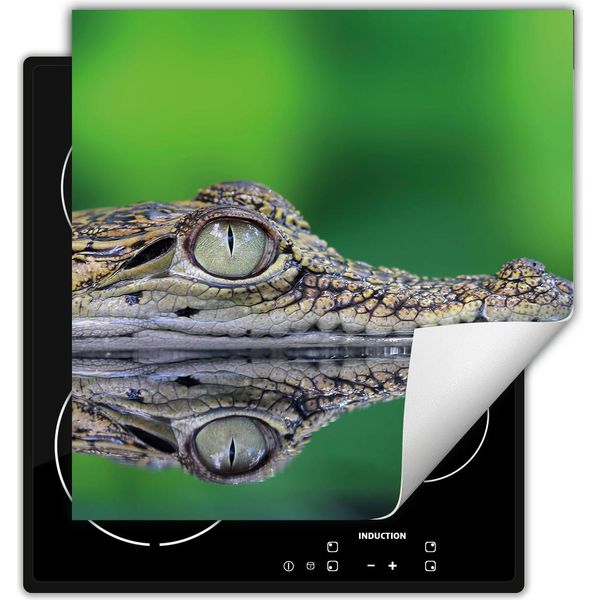 Darhaus Piastra Di Copertura Per Stufe 60X52 Cm Tappetino Antiscivolo Roll-Up, Verde - Coccodrillo-image