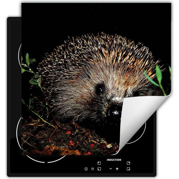 Darhaus Piastra Di Copertura Per Stufa 50X52 Cm Tappetino Antiscivolo Roll-Up, Nero - Riccio-image
