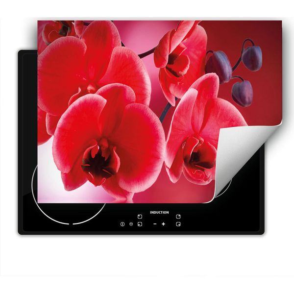 Darhaus Piastra Di Copertura Per Stufa 80X52 Cm Tappetino Antiscivolo Roll-Up, Rosso - Orchidea-image