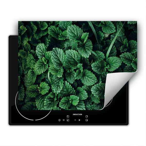 Darhaus Piastra Di Copertura Per Stufa 80X52 Cm Tappetino Antiscivolo Roll-Up, Verde - Menta-image