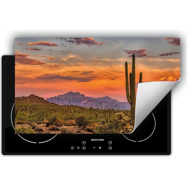 Darhaus Piastra Di Copertura Per Stufa 90X52 Cm Tappetino Antiscivolo Roll-Up, Cactus-image